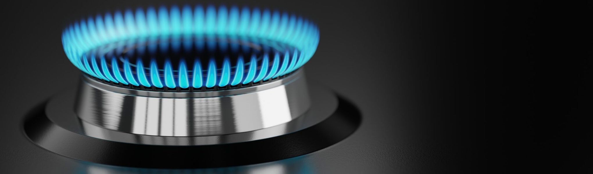 Обслуживание и ремонт газового оборудования в Таллине - Wineco OÜ